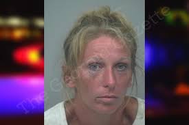 Melissa Lewin — Gwinnett County Jail Bookings