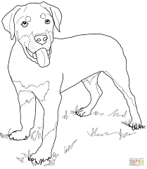 Rottweiler Puppy Super Coloring Puppy Coloring Pages Dog Coloring Page Rottweiler Puppies
