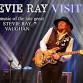 Stevie Ray Visited - A Tribute to Stevie Ray Vaughan