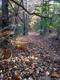 Profile for Antler Assassins