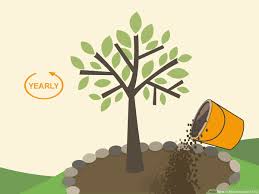 You can use it as mulch right away. How To Mulch Around A Tree 10 Steps With Pictures Wikihow