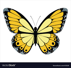 Yellow Butterfly Download A Free Preview Or High Quality Adobe Illustrator Ai Eps Pdf And High Resolut Yellow Butterfly Butterfly Pictures Cartoon Butterfly