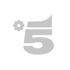You need a tivùsat decoder and its smartcard activated to continue watching these channels. Canale 5 Mediaset
