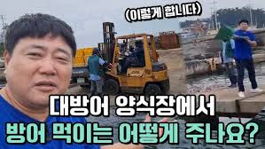 먼바다에 수상한 양식장이 떠 있다?! 우럭 양식의 미래, 중층 가두리!