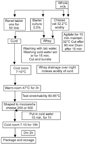 27 Proper Flow Chart Of Cheese