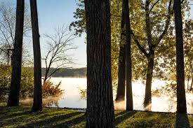 The park features beautiful overlooks of the mississippi river. 23 Of The Best Places To Go Camping In Iowa Beyond The Tent