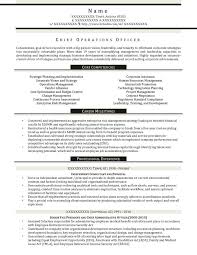 Executive Resume Samples - Resume Prime