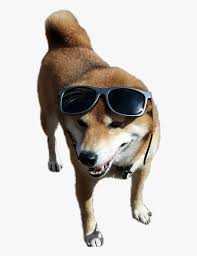 Dog lovers hoodies dog pet doge hoodies with ears tail sweatshirt shiba hoodie. Remixit Dog Doggo Doge Shiba Shibe Shiber Companion Dog Hd Png Download Kindpng