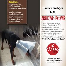 Winpet Winpetmedikal Kopek Kedi