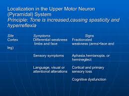 Image result for Neurologic Lesion Localization