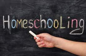 Maybe you would like to learn more about one of these? How Does Homeschooling Work Alpha Mom
