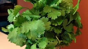 Maybe you would like to learn more about one of these? Harga Daun Ketumbar Tembus Rp 100 Ribu Per Kg Di Pasar Senen Bisnis Liputan6 Com