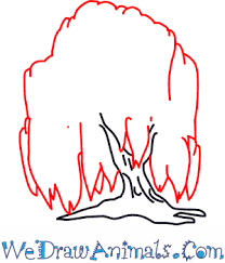 Maybe you would like to learn more about one of these? Drawing Step By Step Simple Willow Tree Drawing
