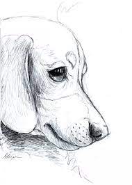 24 Easy Animal Sketch Drawing Ideas Easyartsketches Easyarts Sketches Tendollarbux Com Dog Sketch Dachshund Sketch Puppy Sketch