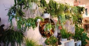 Brunnen Und Wasserspiele Im Garten Selber Bauen 70 Bilder Und Ideen Zimmerpflanzen Pflanzen Pflanzenwand