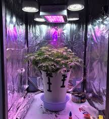 Check spelling or type a new query. Led Grow Light Distance Chart How Far Should Led Grow Lights Be From Plants 420 Big Bud