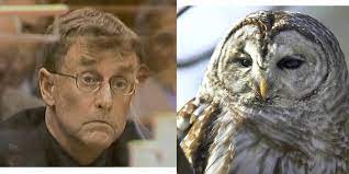 The Owl Theory Will Change How You Watch Netflix True Crime Doc The Staircase True Crime Netflix Watch Netflix