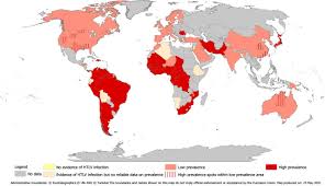 Image result for HTLV1