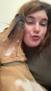 Lost and Found Pets in WV