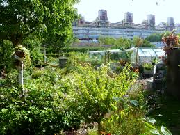 Der botanische garten begrüsst sie wieder ab 1. Botanischer Garten Aachen Wikipedia