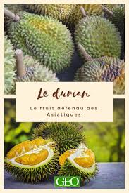 Tout Savoir Sur Le Durian Fruit Defendu Des Asiatiques Fruit Fruit Defendu Ballons De Rugby