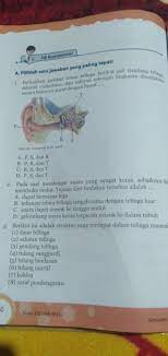 Soal dan kunci jawaban pat prakarya smp kelas 8 kurikulum 2013. Kunci Jawaban Ipa Kelas 8 Halaman 160 163 Uji Kompetensi 10