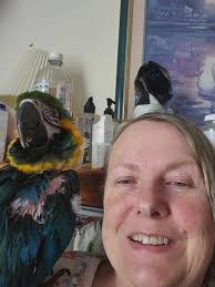 Bodie's first spa day! She did great!