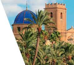 Our top picks lowest price first star rating and price top reviewed. University Elche Alicante Ceu Uch