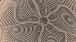 Kinetic Art Table By Sisyphus Art Table Kinetic Art Sand Art