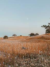 El paso de robles the pass of the oaks) is a city in san luis obispo county, california, united states.located on the salinas river north of san luis obispo, california, the city is known for its hot springs, its abundance of wineries, its production of olive oil, almond orchards, and for playing host to the. Bay Area Weekend Itinerary Your Itinerary For Visiting Paso Robles