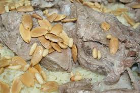 pin by farah shami on dinner or lunch recipes cooking food
