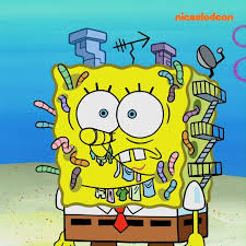Funny 1080 x 1080 pictures. Nickelodeon Spongebob Has Worms Scene L Spongebob Facebook