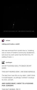 Honestly I Want To Know What Rules It Broke Cause You Can Get Away With Virtually Anything On Tumblr Tumblr Funny Funny Memes Memes