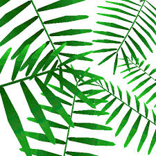 Leaf clipart animation, leaf animation transparent free for download on webstockreview 2020. Transparent Leaves Gif Page 1 Line 17qq Com