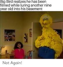 An element of a culture or system of behavior that may be considered to be legend says big bird still hunts children and his kill streak continues to grow. The Best Big Bird Memes Memedroid