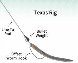 This scent makes the fish hold onto your lure for longer. Your Guide To Using Plastic Worms For Bass Fishing Luremefish