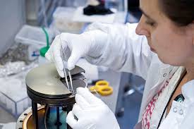 Free Vectors, PNGs, Mockups & Backgrounds