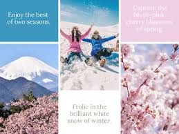 Mt Fuji Tour From Tokyo With Early Cherry Blossom Viewing Fun In The Snow Tours Activities Fun Things To Do In Tokyo Japan Veltra