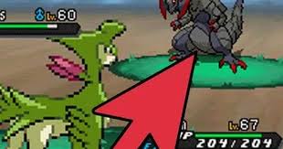 Black And White 2 Pc Game How To Catch The Shiny Haxorus In Pokemon Black 2 And White 2 Black Pokemon Pokemon Shiny Pokemon