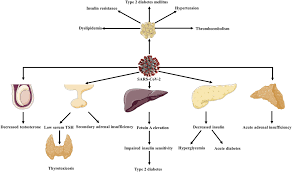 Myasthenia gravis and associated diseases. Extrapulmonary Clinical Manifestations In Covid 19 Patients In The American Journal Of Tropical Medicine And Hygiene Volume 103 Issue 5 2020