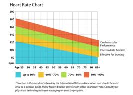 The Importance Of A Healthy Heart Rate Global Women Connected