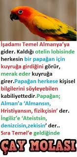 Temel Ve Papagan Papagan Fizikci Komik Fikralar