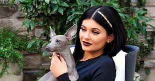Kylie Jenner Reveals What Happened To Her Dog Norman