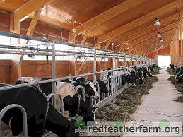 Membuat kandang kambing dari bambu. Buat Kandang Untuk Lembu Lakukan Sendiri Gambar Rajah Dan Gambar Haiwan 2021