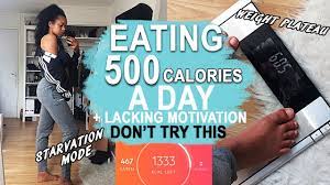Maybe you would like to learn more about one of these? Eating 500 Calories A Day For A Month Dont Try This Youtube