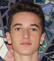 Meet the District 10 Boys Cross Country All-Stars