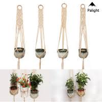 Jual Indoor Plants Di Surabaya Harga Terbaru 2020