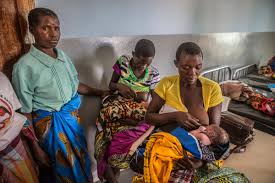In africa, people have developed ebola after handling infected animals found ill or dead, including fruit bats. Ebola Virus Disease And Breastfeeding Time For Attention Healthy Newborn Network