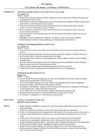 Senior Business Consultant Resume Samples Velvet Jobs