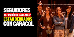 Canal caracol (2003) (colombia) (tv). Pasion De Gavilanes Tiene Nuevo Horario De Emision
